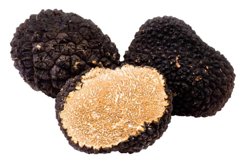 Autumn truffle