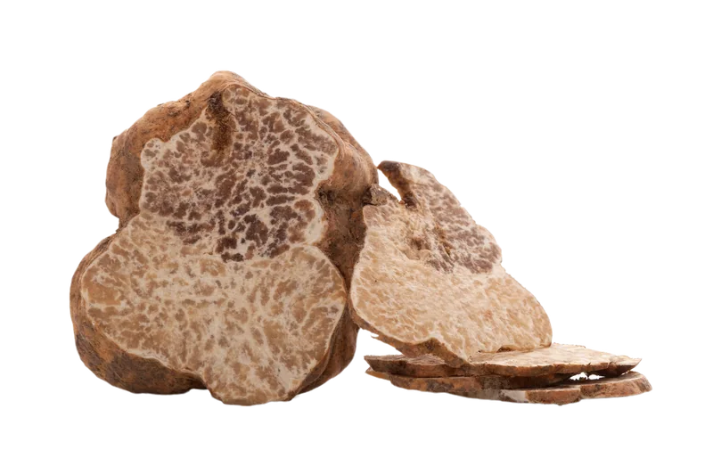 Bianchetto truffle
