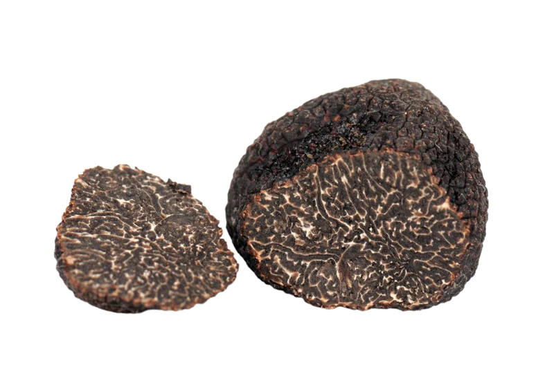 Precious black truffle