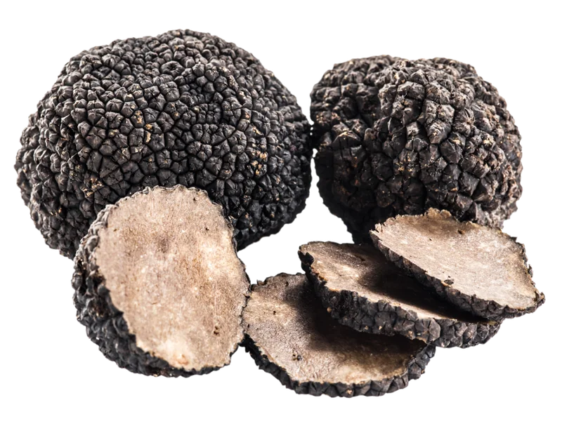 Summer truffle