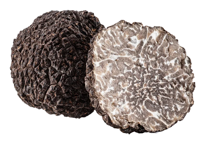 Winter black truffle